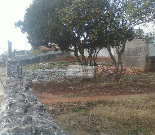 Imagem 5 de 10 de Terreno Residencial À Venda, Vila Nova Bonsucesso, Guarulhos - Te0093. - Te0093