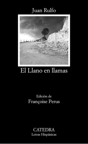 Libro - El Llano En Llamas 