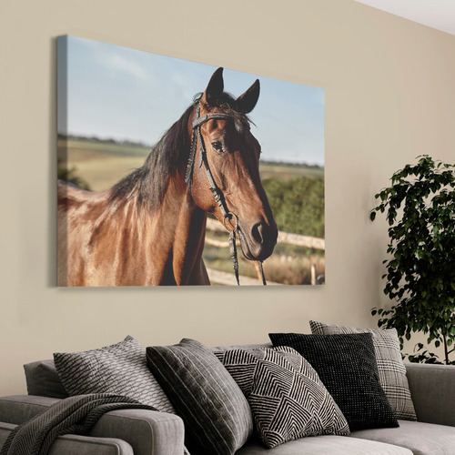 Quadro Cavalo De Perfil Em Tela Canvas - Preta 60 X 90cm