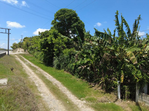 Venta Terreno 1250 M² Col. Manlio Fabio Tuxpan Veracruz