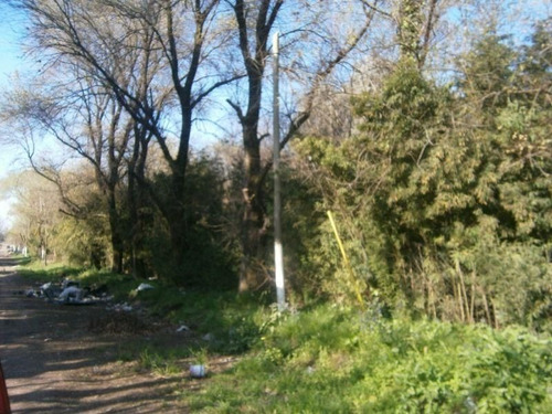 Imagen 5 de 6 de Terreno En Venta En Muñiz