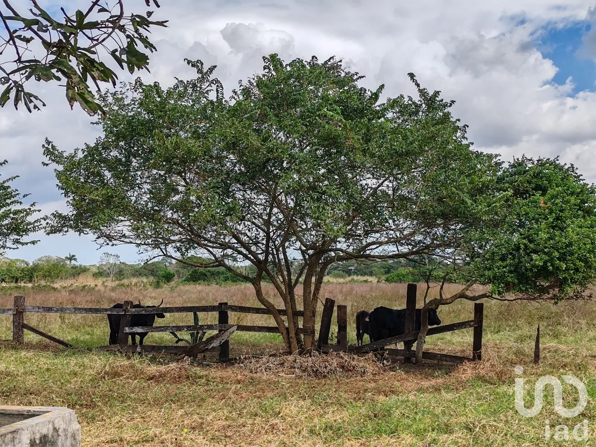 Venta Rancho 1 Ambiente El Chicle