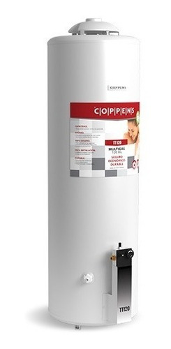 Imagen 1 de 5 de Termotanque A Gas Coppens Tt-120 Recup Simultanea Ahora 12