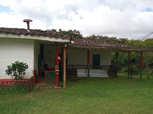 Imagen 9 de 22 de Vendo Finca Bitaco