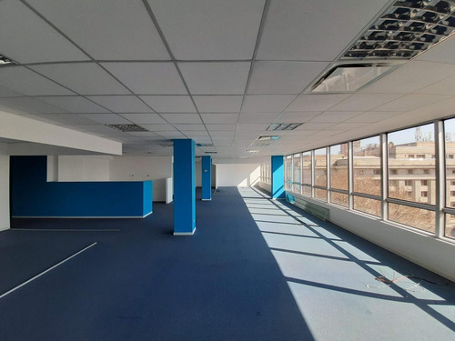 Imagen 8 de 14 de Oficina En Alquiler -248 M2 - San Telmo
