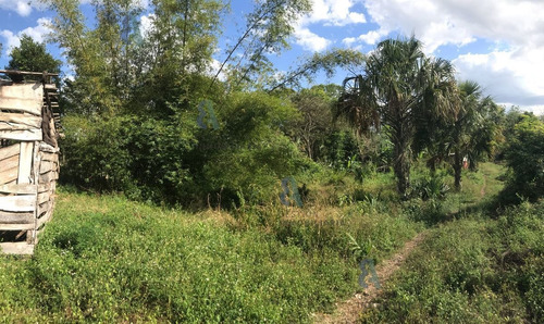 Imagen 7 de 8 de Venta De Terreno En Tizimin, Yucatán. Ctv48.