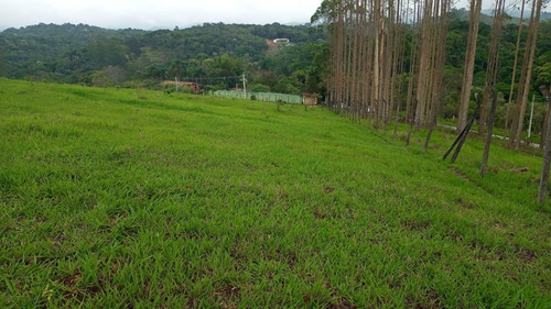 Imagem 2 de 17 de 10. Lotes A Venda (800m²) , Agende Já Uma Visita