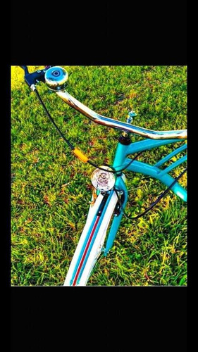 Bicicleta