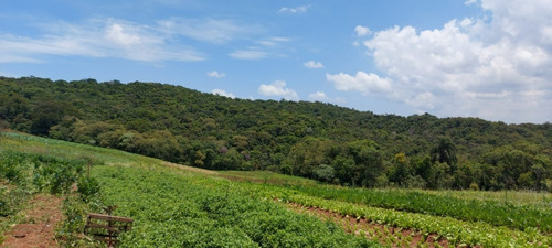 Imagem 15 de 24 de 10o', Terreno Cotia 500m² 35mil !