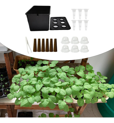 Sistema De Cultivo Hidropónico, Kit De Cultivo Hidropónico P