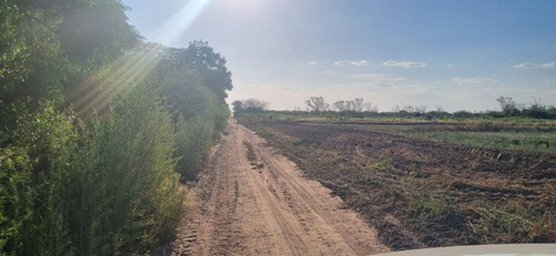 Venta De Campo Agricola En Simbol