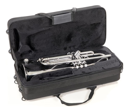 Roy Benson 701072 - Trompeta En Sib Tr-202s