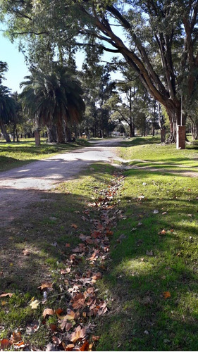 Imagen 3 de 7 de Lote En Garín En Pesos