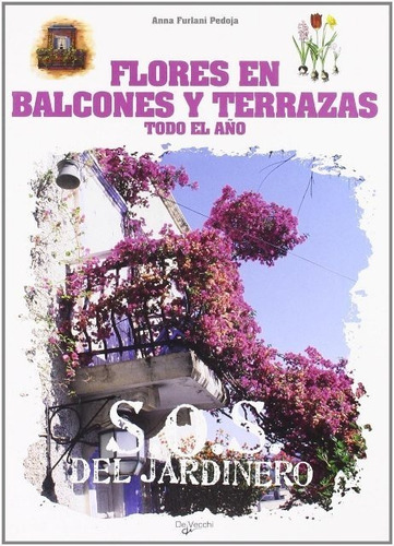 Flores En Balcones Y Terrazas Todo El Año