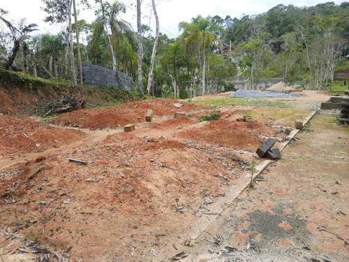 Imagem 17 de 28 de Terreno - Te00030 - 68403756