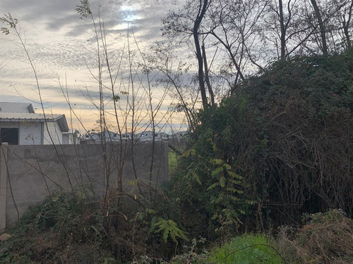 Terreno Construcción 2,9 Has En Venta En Requínoa