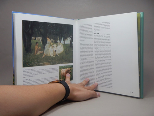 Historia Mundial De Las Vacas T Dura Sara Rath En Inglés Bg5 (Usado)