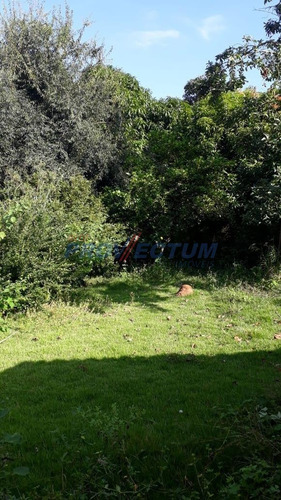 Chácara À Venda Em Rancho Novo - Ch267703