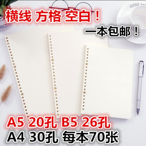 Papel Blanco A5 Con 20 Orificios, Línea Horizontal, 70 Hojas