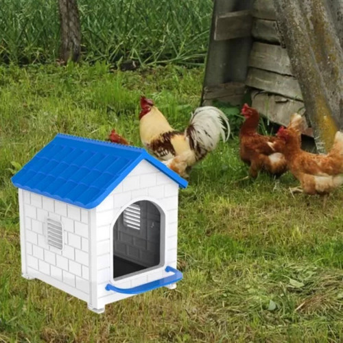 Nuevo Nido De Gallina For Huevos Frescos En Casa Azul Sin