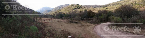 Imagen 5 de 30 de Campo En Venta En Salta - 2000 Has