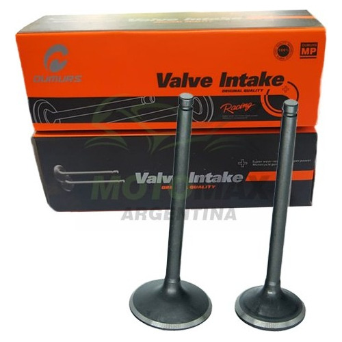 Valvulas Honda Cb1 - Oumurs Oficial