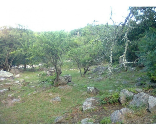Imagen 13 de 18 de Amplisimo Lote En Prado De La Rivera . Agua De Oro,cordoba!