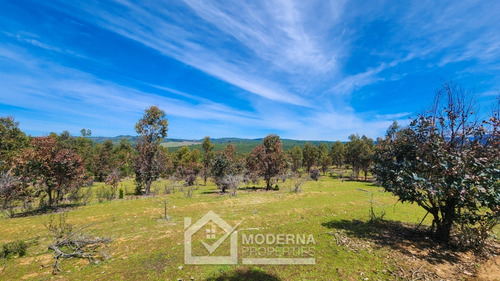 Predio 38 Ha Agricola Y Forestal