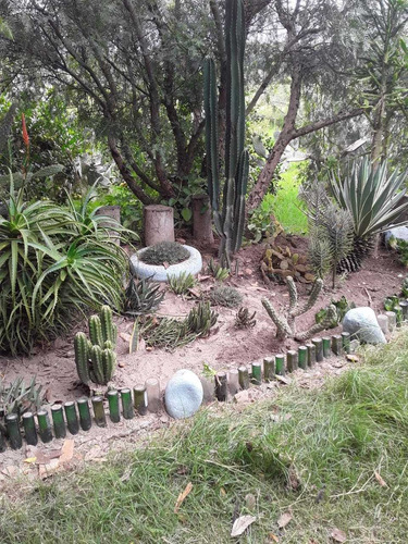 Imagen 3 de 8 de Vendo Hermosa Finca Vacacional