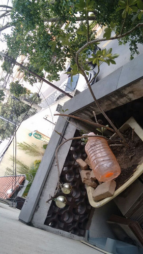 Imagem 8 de 28 de Apartamento - Ref: 4891