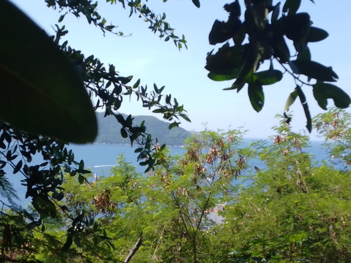 Terreno En Venta, En Lo Alto De La Cima, Sección Las Américas, Fracc. Las Playas, Acapulco