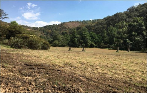Terreno En Venta En Temascaltepec.