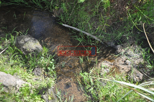 Imagen 3 de 30 de Venta Campo Ubicado En Garzón