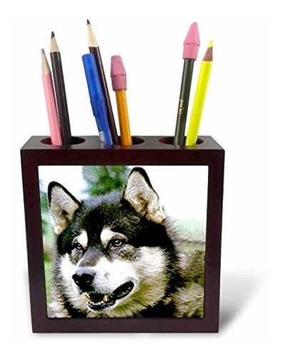 Ph*****portalápices Para Azulejos Alaska Malamute, 5 Pulgada