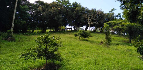 Imagen 4 de 14 de Bella Propiedad, Paz Y Naturaleza, Tranquilidad, Tierras Mor
