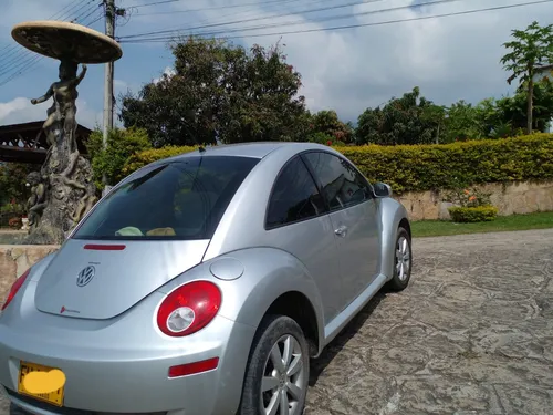 Beetle