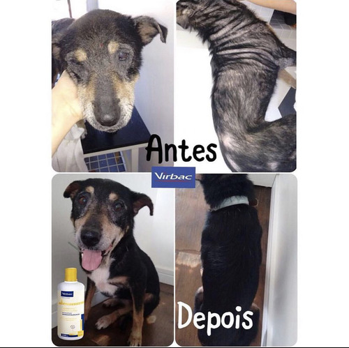 Shampoo Dermatológico Hexadene Spherulites Virbac 500ml