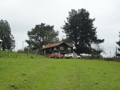 Agrícola En Venta En Paillaco
