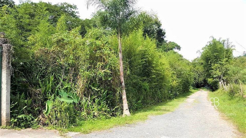 Imagem 2 de 8 de Terreno À Venda, 5324 M² Por R$ 450.000,00 - Vila Hortência - Cotia/sp - Te0468