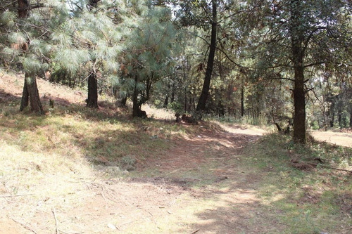 Imagen 4 de 10 de Terreno En Paraje Tetecuintla, Huitzilac, Morelos.