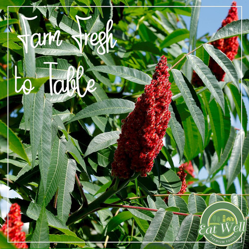 Eat Well Sumac Spice Powder 8 Oz Bayas De Zumaque Molidas En