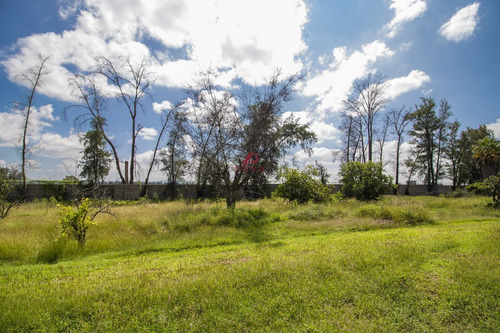 Terreno Con Uso De Suelo Comericial En Venta , Leon Guanajuato.