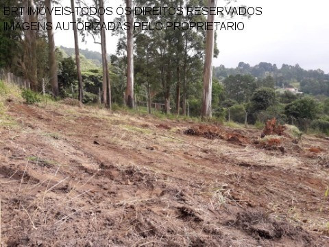 Imagem 13 de 22 de Terreno - Te00125 - 34466729