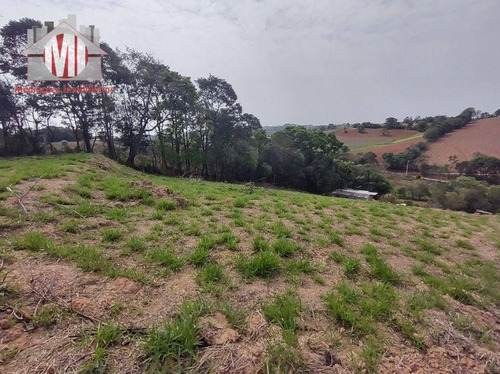 Imagem 17 de 29 de Chácara Com Escritura, 3 Dormitórios, Pomar, Horta, Córrego, Bem Localizada, À Venda, 7777 M² Por R$ 480.000 - Zona Rural - Pinhalzinho/sp - Ch1060
