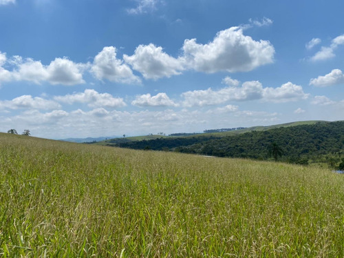 Imagem 4 de 14 de R16- A Venda Em Jacareí,lotes Com Excelente Topografia