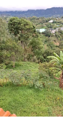 Finca Ganadera Cachipay Cundinamarca