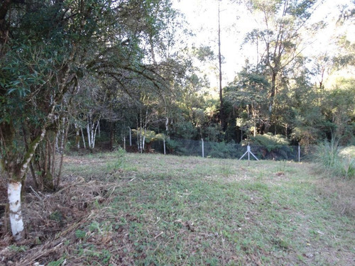 Imagem 4 de 15 de Terreno À Venda, 463 M² Por R$ 446.800,00 - Vivendas Do Arvoredo - Gramado/rs - Te0093