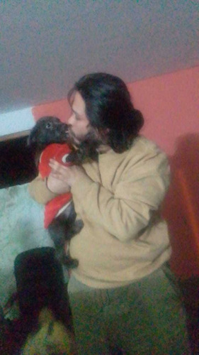 Imagen 3 de 3 de Hospedaje Pet House Servicio Para Mascotas Paseos Los Olivos