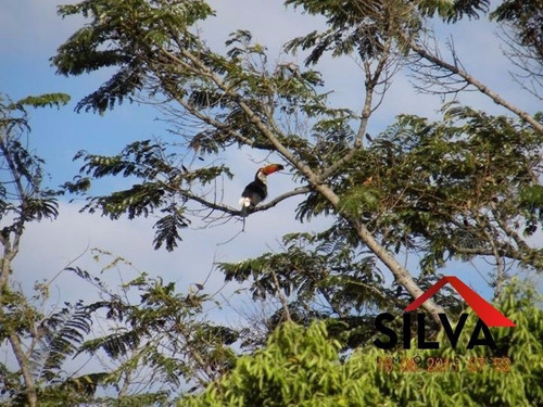 Imagem 8 de 15 de Chacara - Rocio Grande - Ref: 727 - V-727