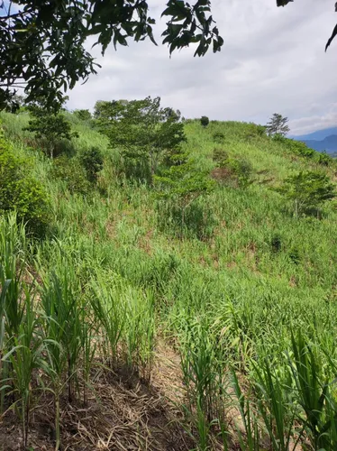 Lote En Villeta Cundinamarca